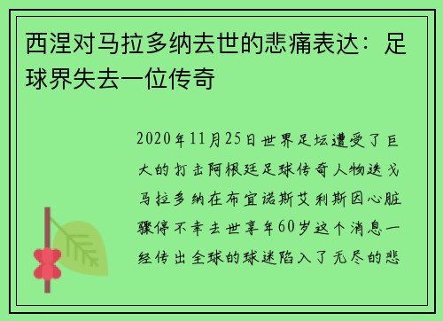 西涅对马拉多纳去世的悲痛表达：足球界失去一位传奇